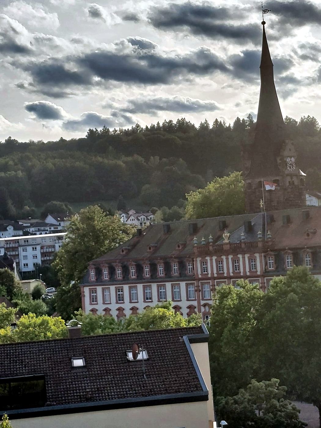 Blick von der Bahnstraße über die Dächer von Erbach auf das Schlossdach, den Bergfried mit Fahne und die bewaldeten Hügel des Odenwalds